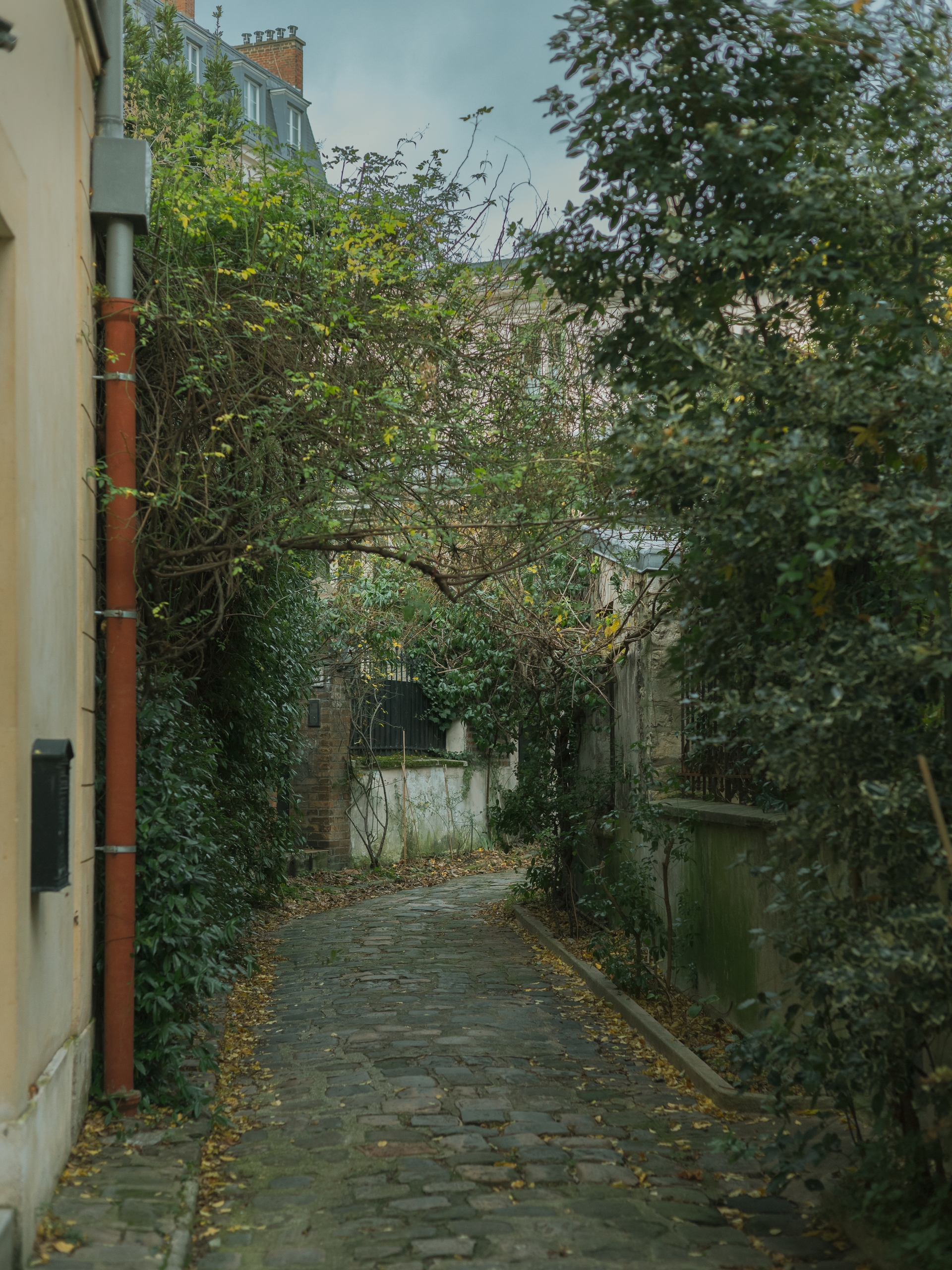 Paris Alley