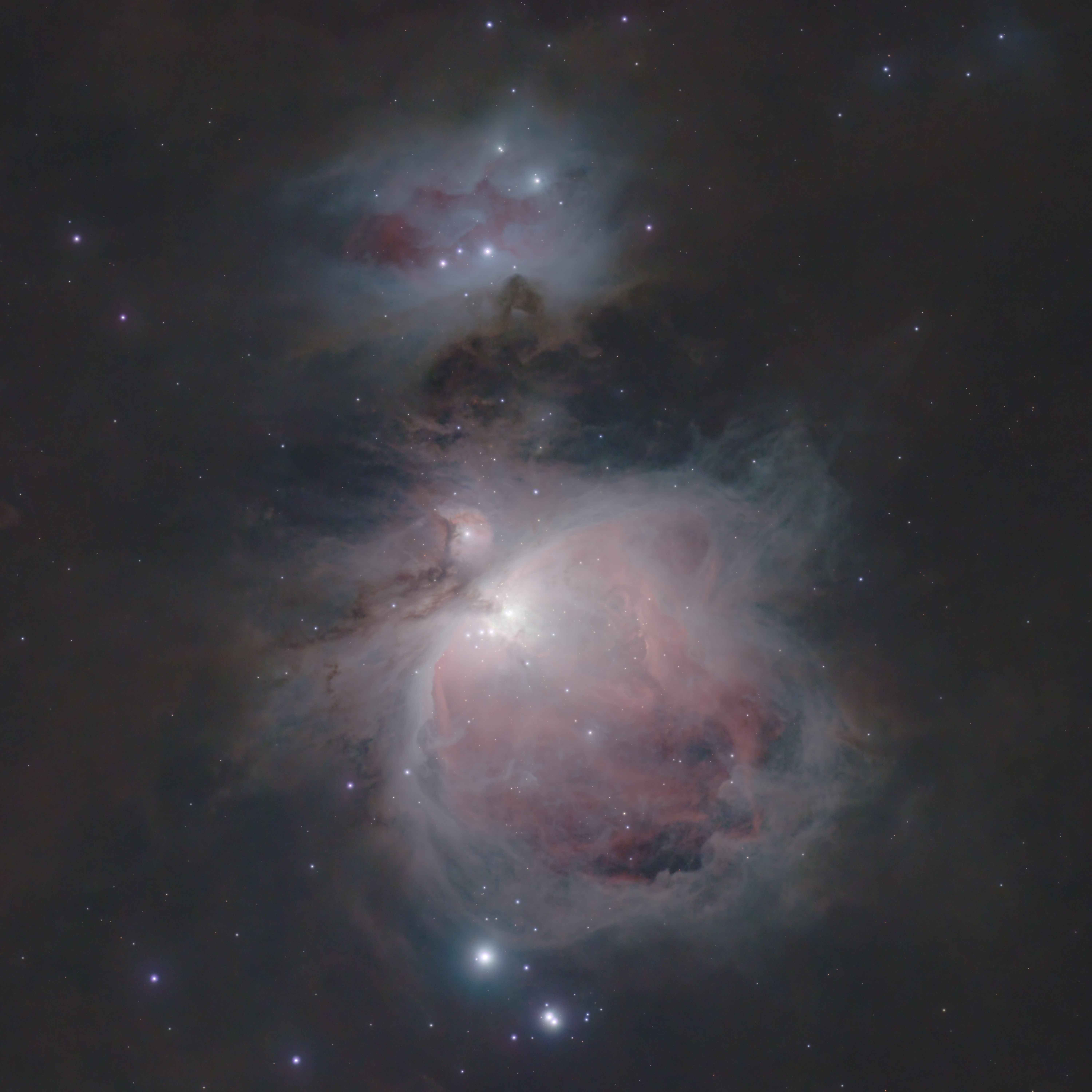 Orion Nebula