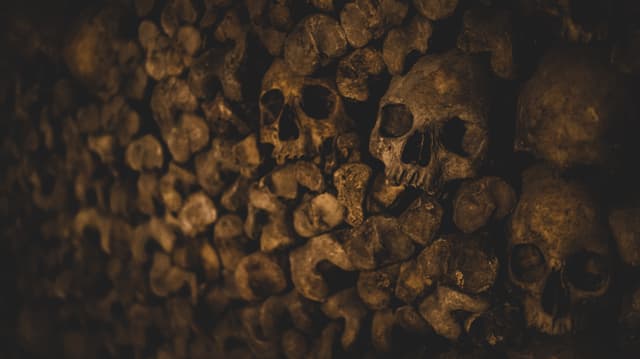 Skulls