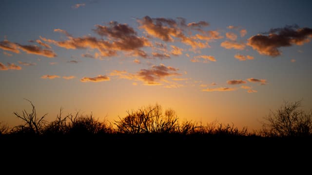 Sunset