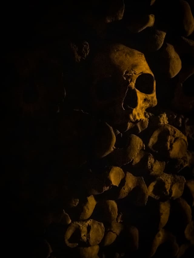 Skull